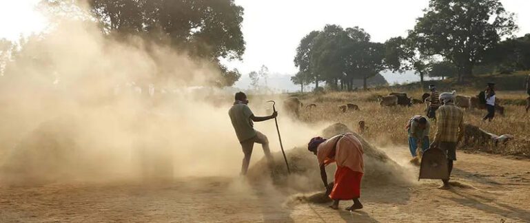 Farmers working crop losses in india