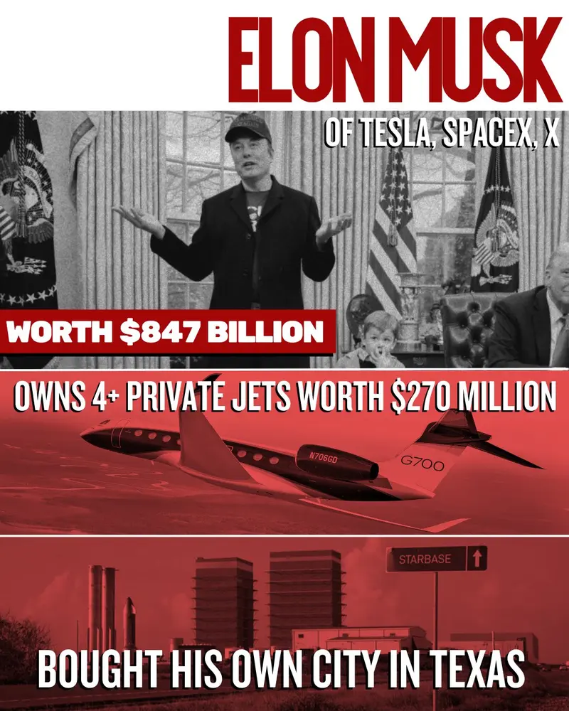 Billionaire infographic for Elon Musk.