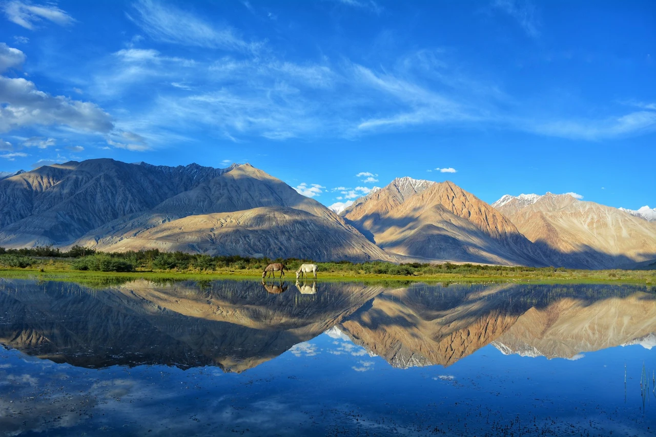 ladakh hanle darshan chudasamah Hanle ladakh. Bright blue sky, bright blue water, and green mountains.
