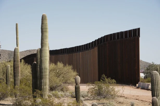 Border wall construction
