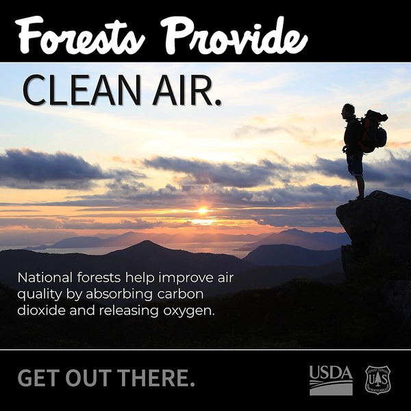 Forest service clean air graphic