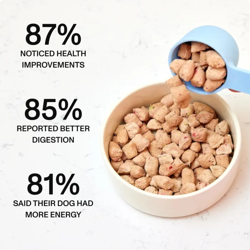 spot and tango UnKibble fresh dog food