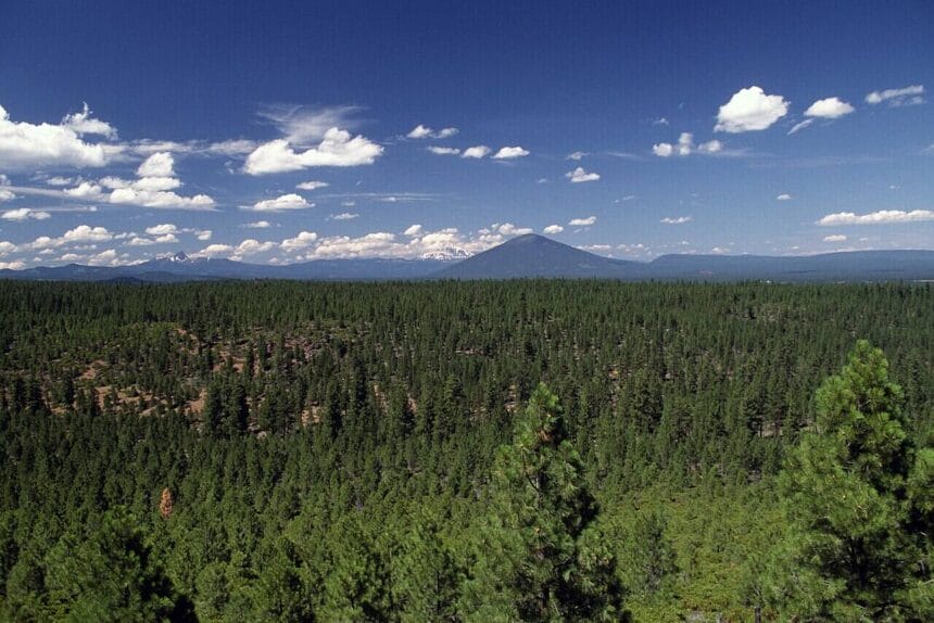 Deschutes national forest oregon cascades