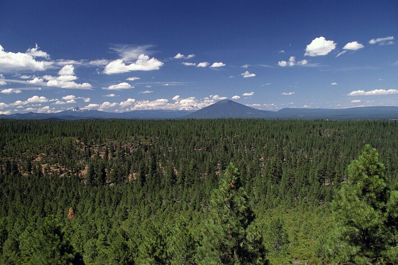 deschutes national forest service Deschutes national forest oregon cascades