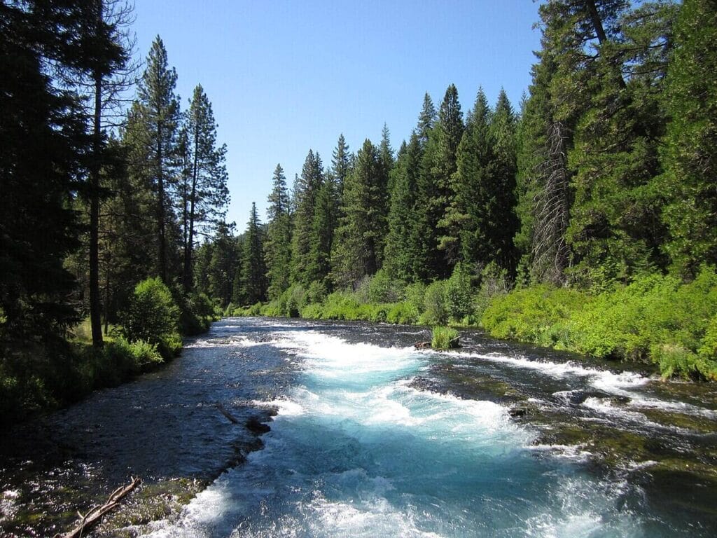 deschutes national forest2 Deschutes national forest