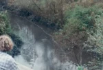 Wolf creek - the martin county kentucky coal slurry spill