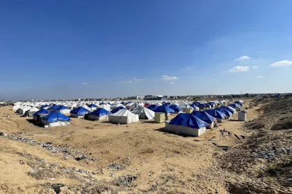 Rats are biting babies in gaza displacement camps