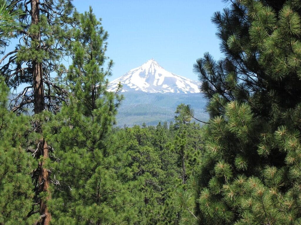 deschutes national forest Deschutes national forest