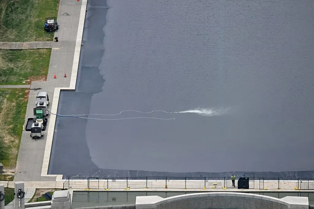 Reflecting pool algae